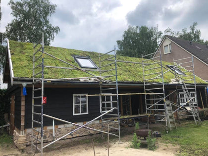 Sedum dak aanleggen of kopen?
