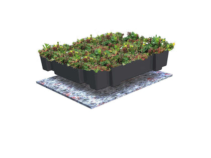 Groendak CLICK 'N & GO LIGHT SEDUMTRAY – 1m2 (totaal pakket)